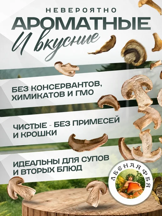 Лесная фея Лесные грибы сушеные ассорти 500гр, 200 г, фото 3