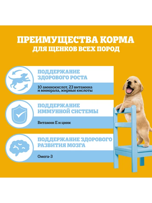 Сухой корм PEDIGREE для собак, щенки, курица, 2 кг, фото 3