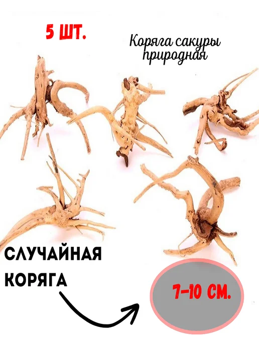 Коряга для аквариума натуральная Сакура 5 шт, 5 шт, фото 2