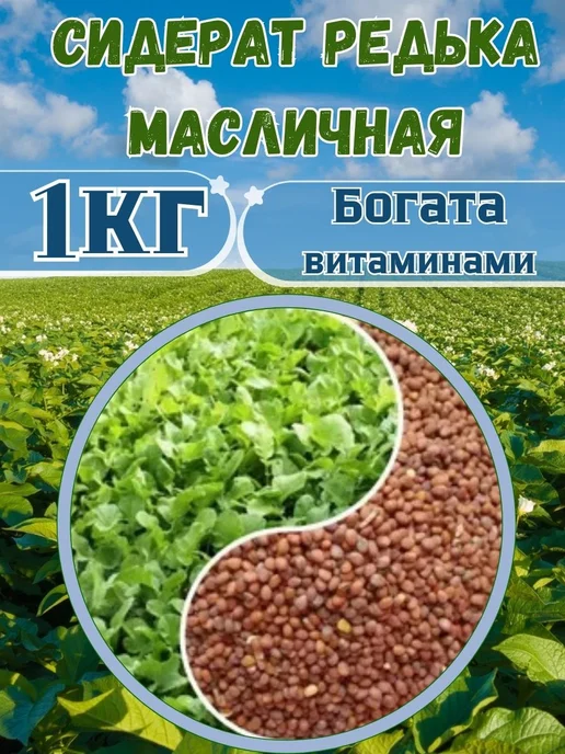 Садовник Кузя Семена Редька масличная, вариант, фото 2