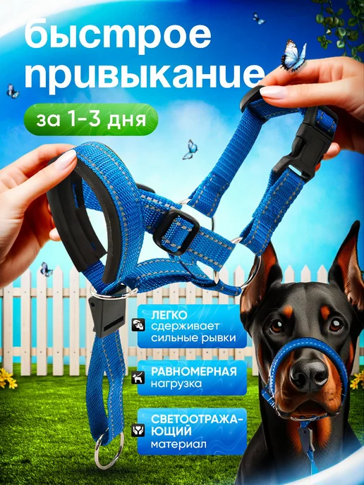 Намордник Прогулочный S, вариант