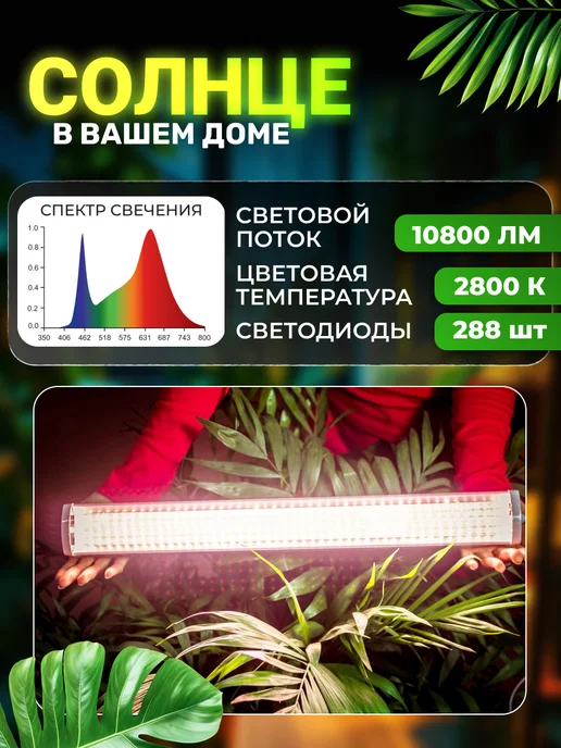 ДиМаКон Фитолампа для растений полного спектра, вариант, фото 2