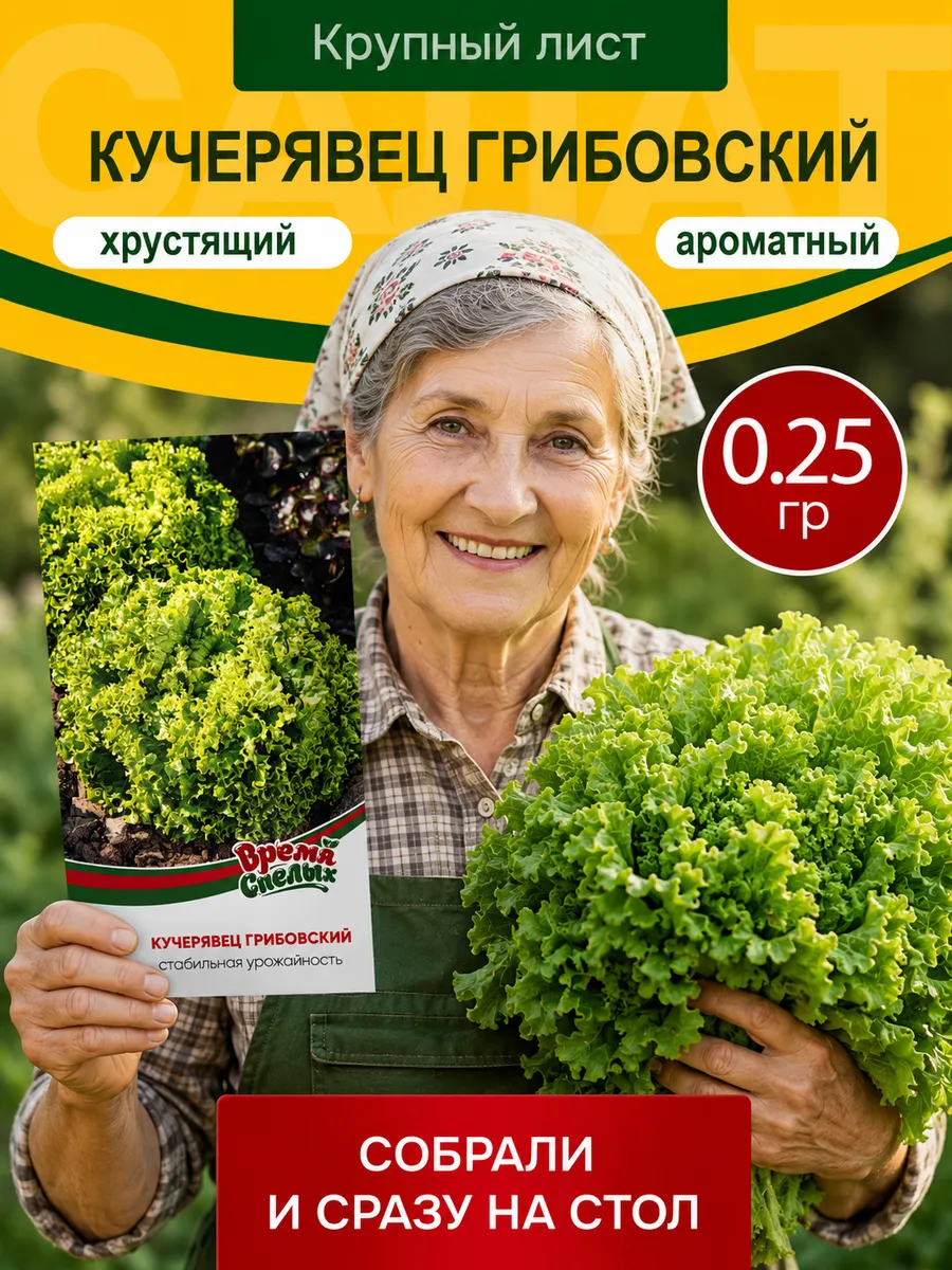 Семена Салата Кучерявец Грибовский