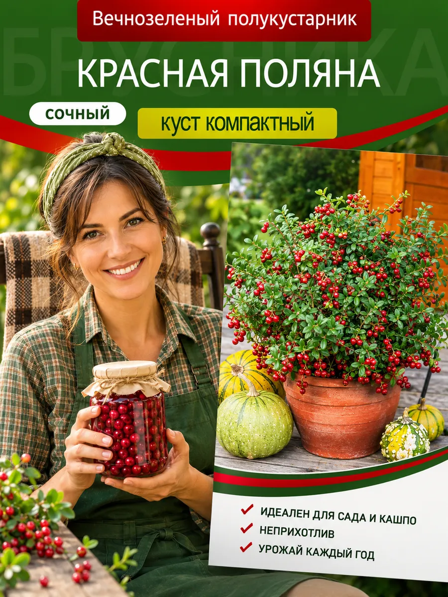 Семена Брусники Красная поляна