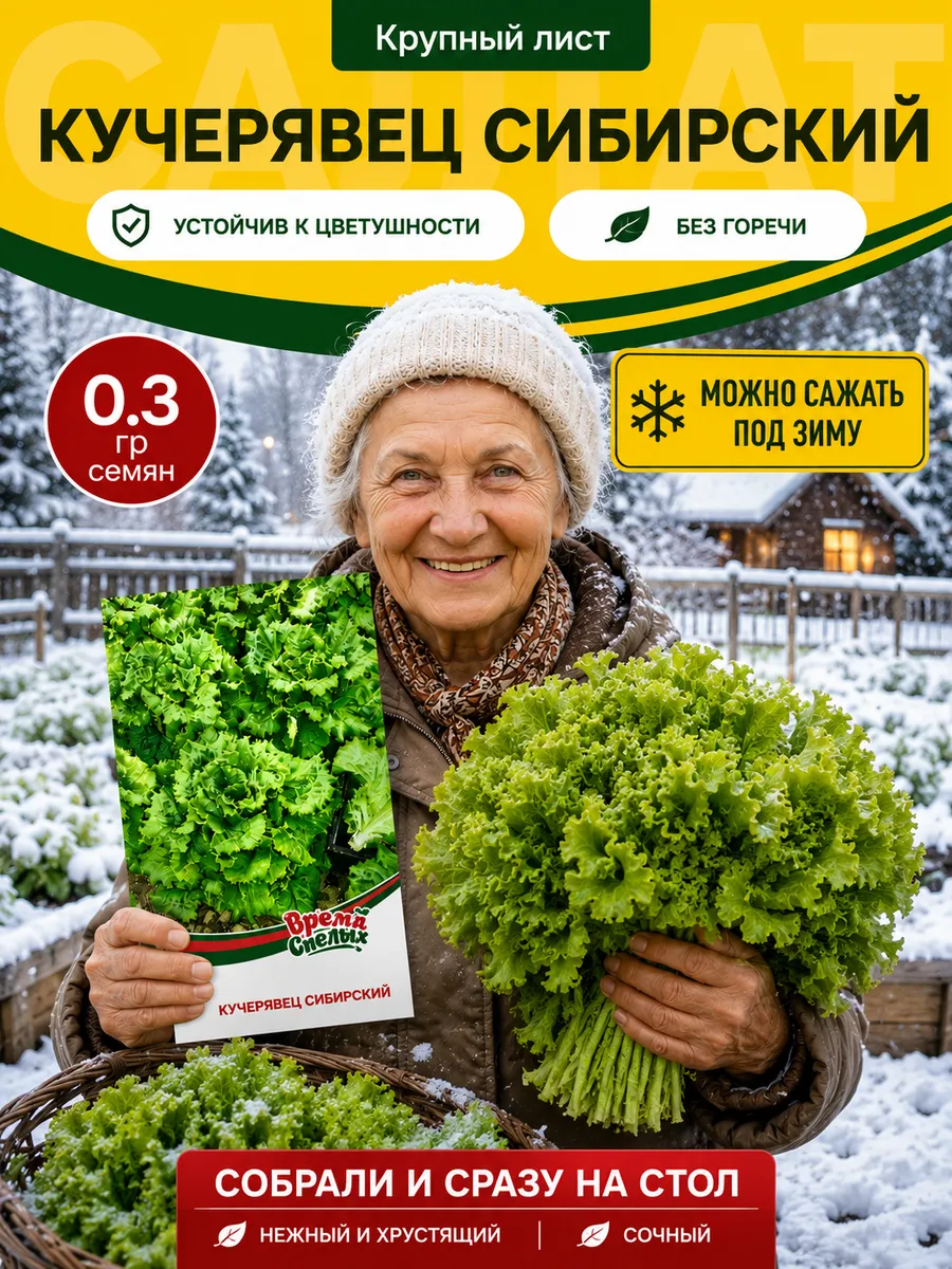Семена Салат Кучерявец сибирский