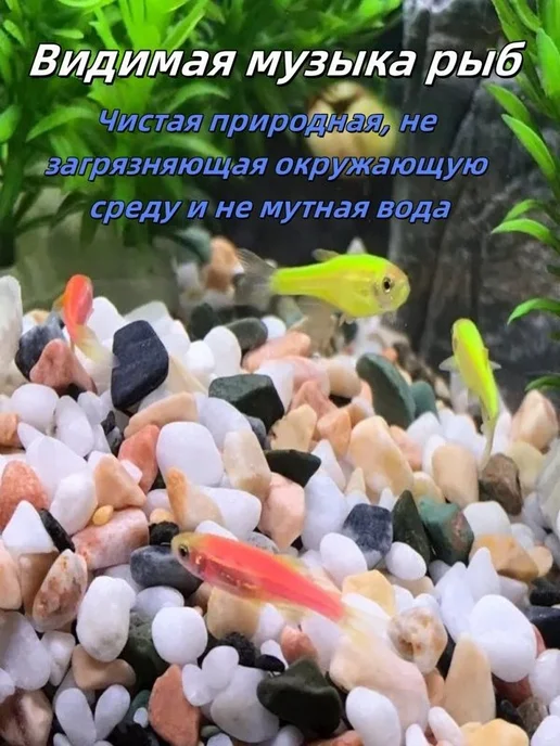 Грунт Каспийский с ракушками 500г галтованный 10-20мм, 500 г, фото 3