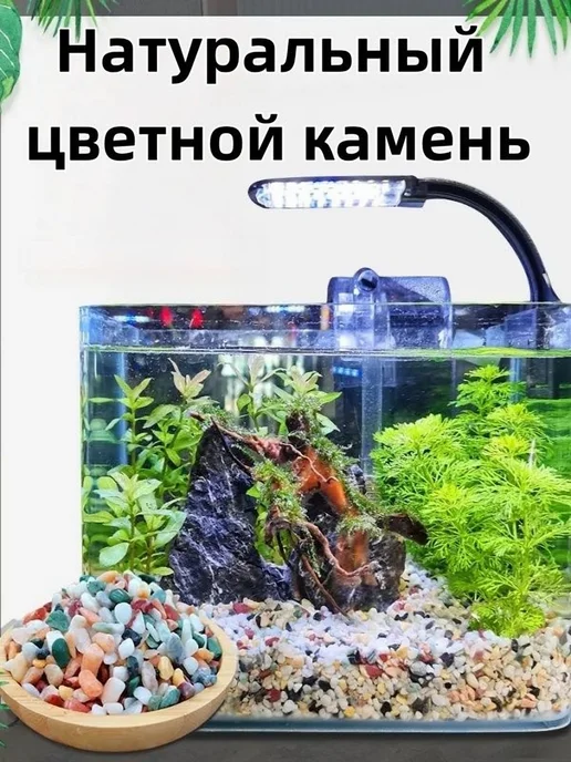 Грунт Каспийский с ракушками 500г галтованный 10-20мм, 500 г, фото 5