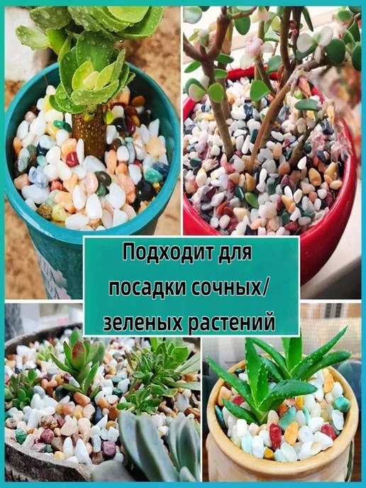 Грунт Каспийский с ракушками 500г галтованный 10-20мм, 500 г, фото 7