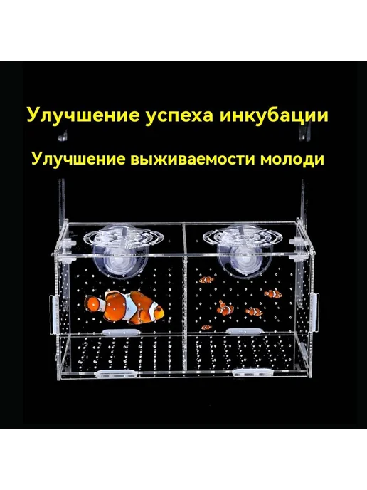 Отсадник инкубатор для рыб 10х10х10 см кремовый, 10x10 см, фото 4