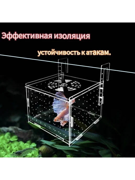 Отсадник инкубатор для рыб 10х10х10 см кремовый, 10x10 см, фото 5