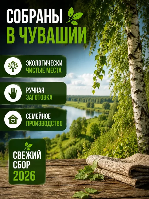 Березовый веник для бани и сауны 2шт, 4 шт, фото 3