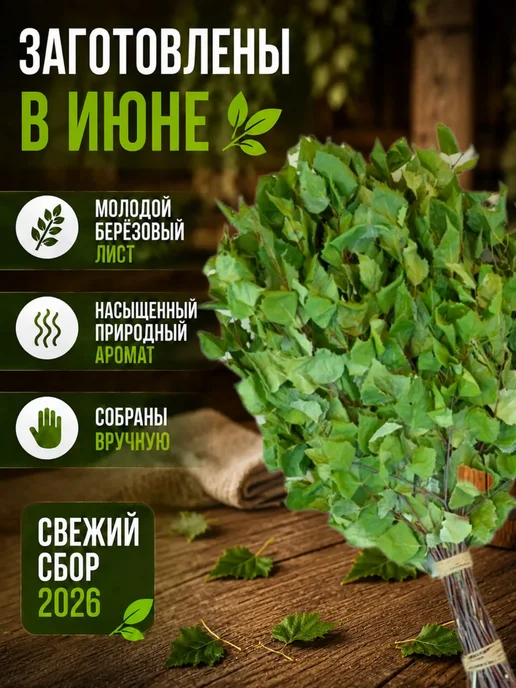 Березовый веник для бани и сауны 2шт, 4 шт, фото 4