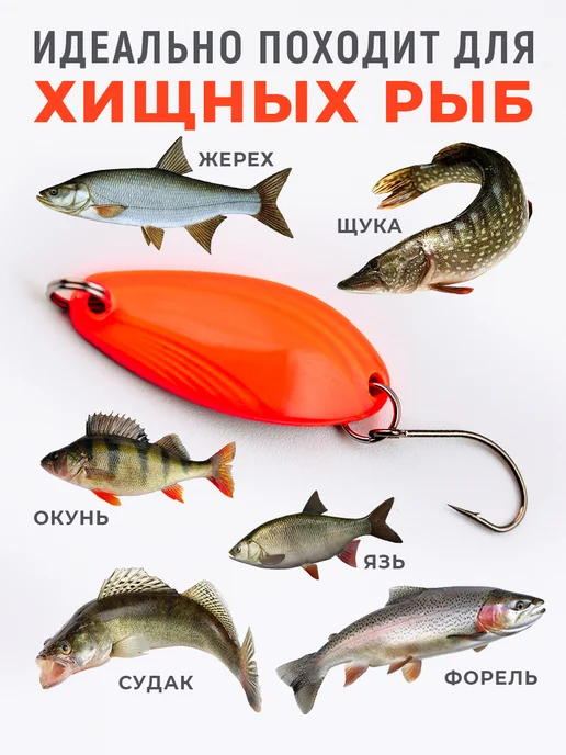 MALKOVSELLER Блесна колебалка ультралайт набор 12шт, 12 шт, фото 7