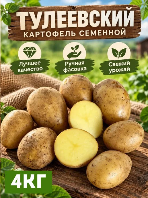 Садовые Чудеса Виктории Картофель семенной Тулеевский, коричневый, фото 2