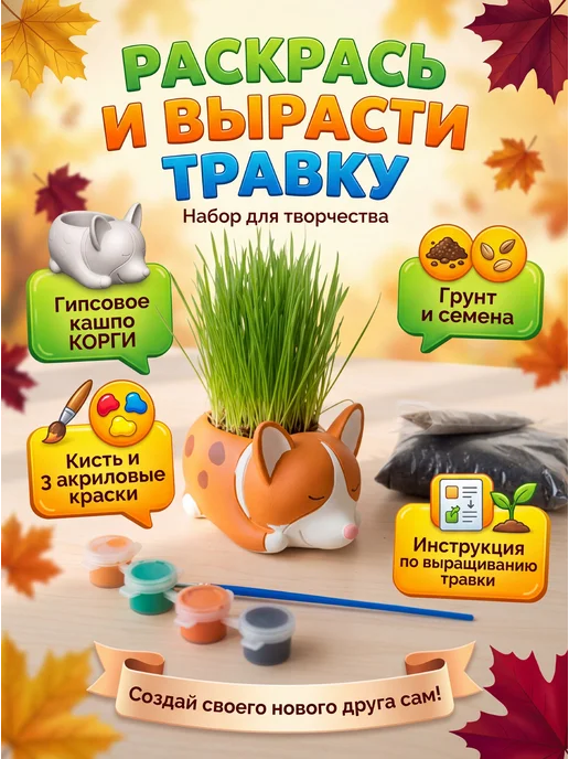 Набор для выращивания с гипсовыми кашпо Корги, вариант