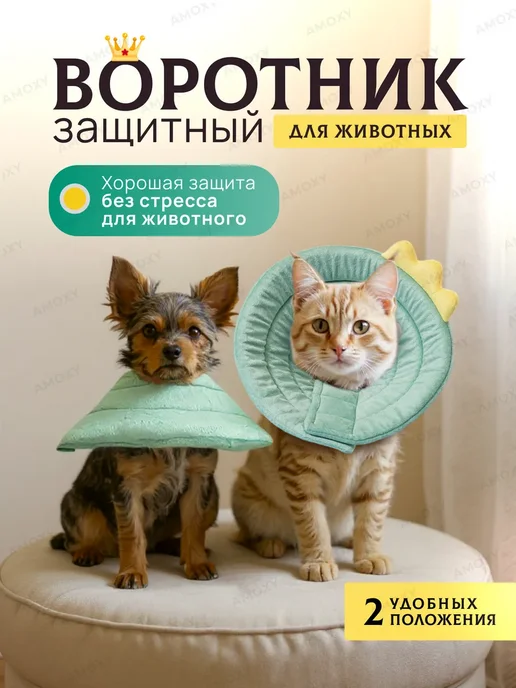 Воротник защитный ветеринарный для кошек собак мягкий, вариант
