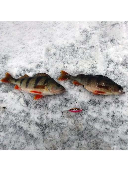 Lucky John Балансир для зимней рыбалки MEBARU 57, вариант, фото 3