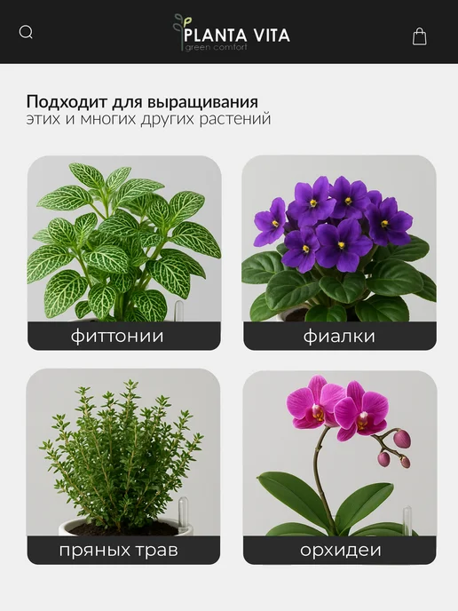 PLANTA VITA Кашпо горшок для цветов вазон с поддоном, белый, фото 5
