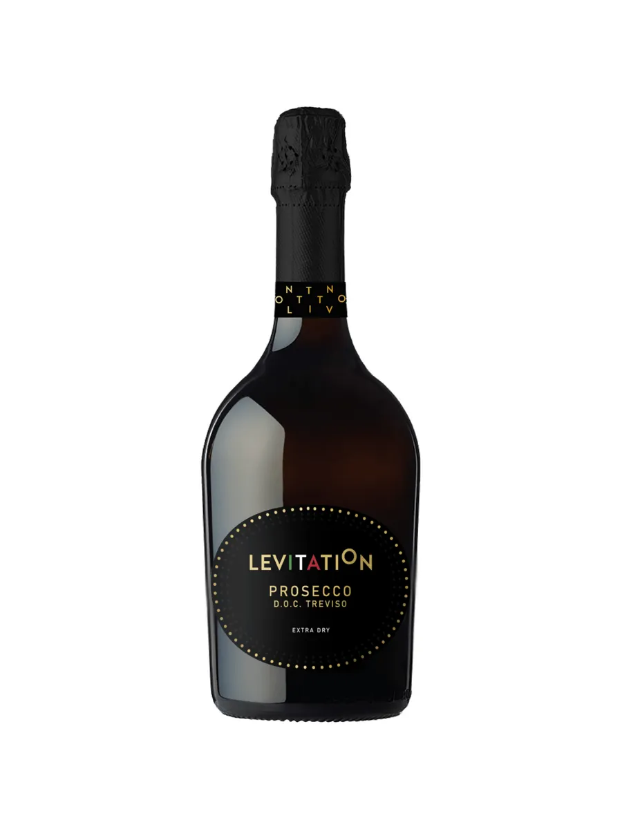 Вино игристое Levitation Prosecco Treviso белое сухое 0,75 л