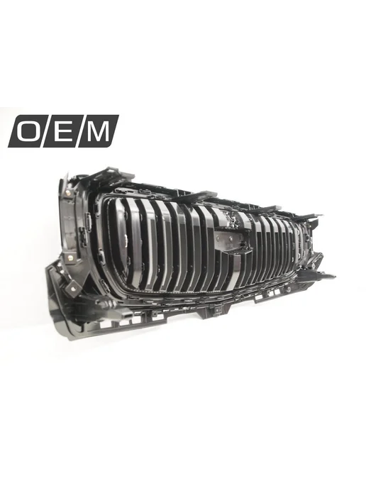 O.E.M. Решетка радиатора Geely Monjaro 2021-нв, черный, фото 6