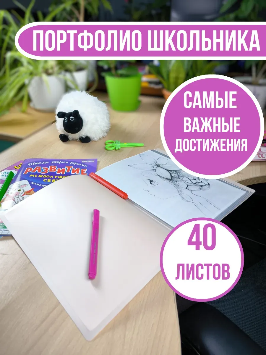 Папка портфолио школьника на 40 листов