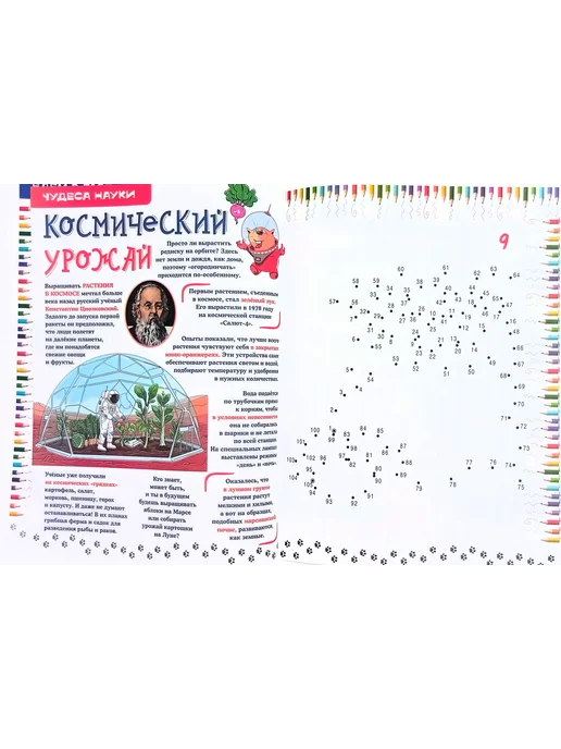 Им Медиа Рисование по точкам. Моя страна Россия, вариант, фото 3