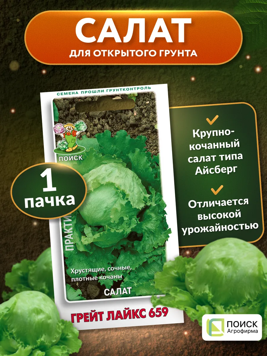 Семена салата Грейт лайкс 659 айсберг для открытого грунта