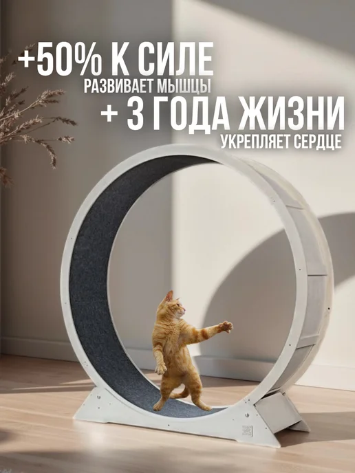 ДОМ мастерская Беговое колесо для кота 130 см, бежевый, фото 3