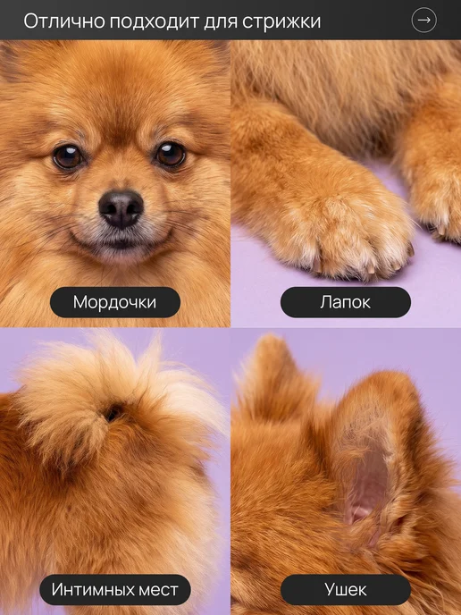 ProPetStoreez Машинка триммер для стрижки шерсти собак и кошек бесшумный, белый, фото 4