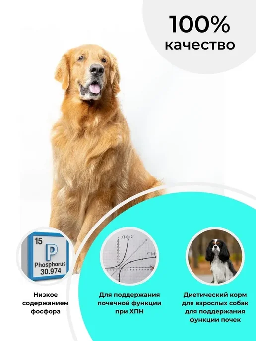 Сухой корм Royal canin Renal Dog для собак, 2 кг, фото 2