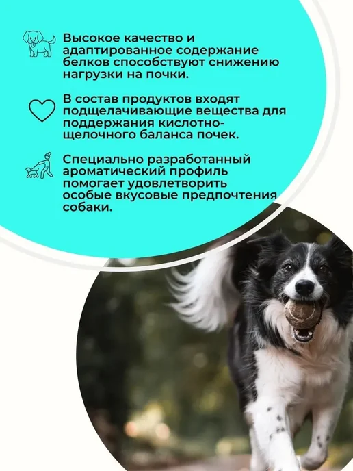 Сухой корм Royal canin Renal Dog для собак, 2 кг, фото 3