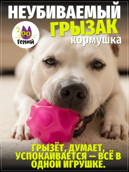 ЗООГЕНИЙ Жевательный мяч для собак с отверстием под корм для игр, розовый