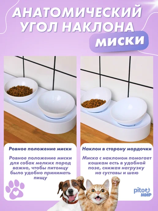 PitoMir Миска для кошек и собак тройная на подставке, белый, фото 4