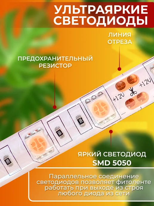 СВЕТЛОФФ Фитолента для растений полного спектра 3 метра светодиодная, 3 м, фото 3