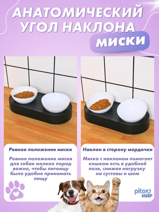 PitoMir Миска для кошек и собак двойная на подставке, черный, фото 2