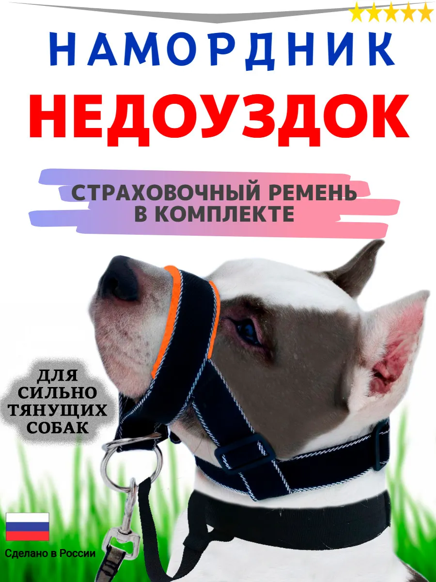 Недоуздок для собак намордник халти амуниция для дрессировки