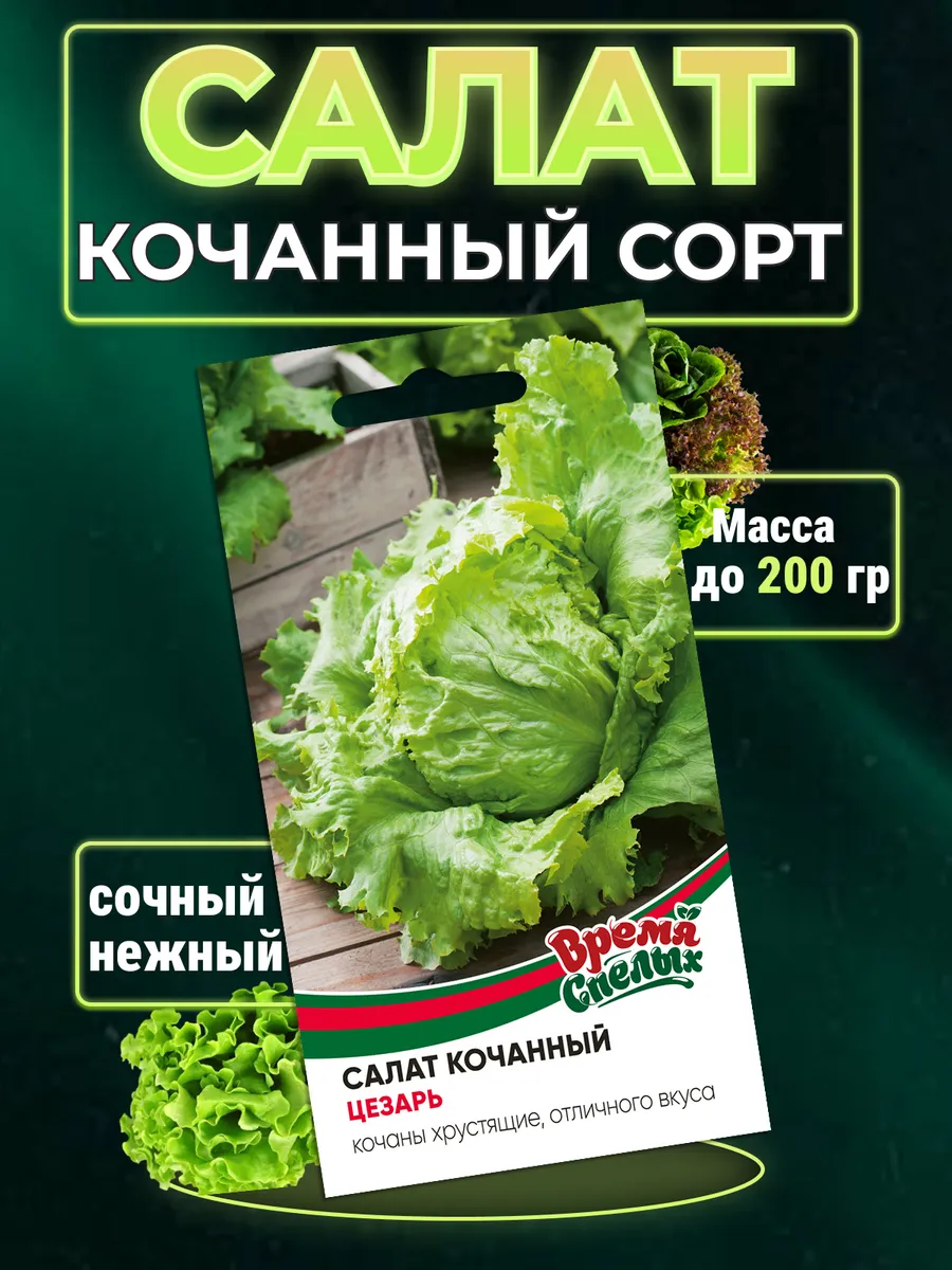 Семена Салата кочанного Цезарь