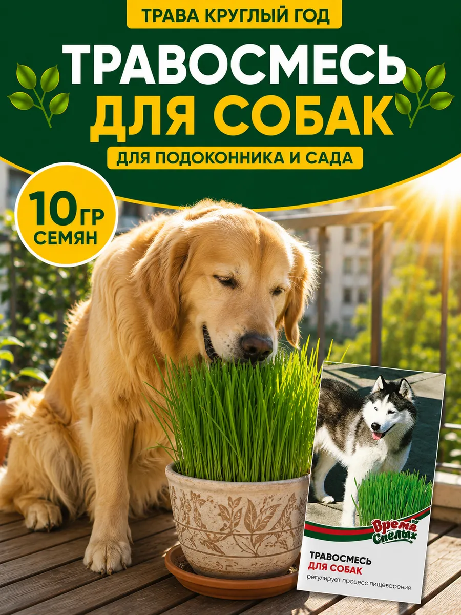 Семена Травы Для Собак для проращивания