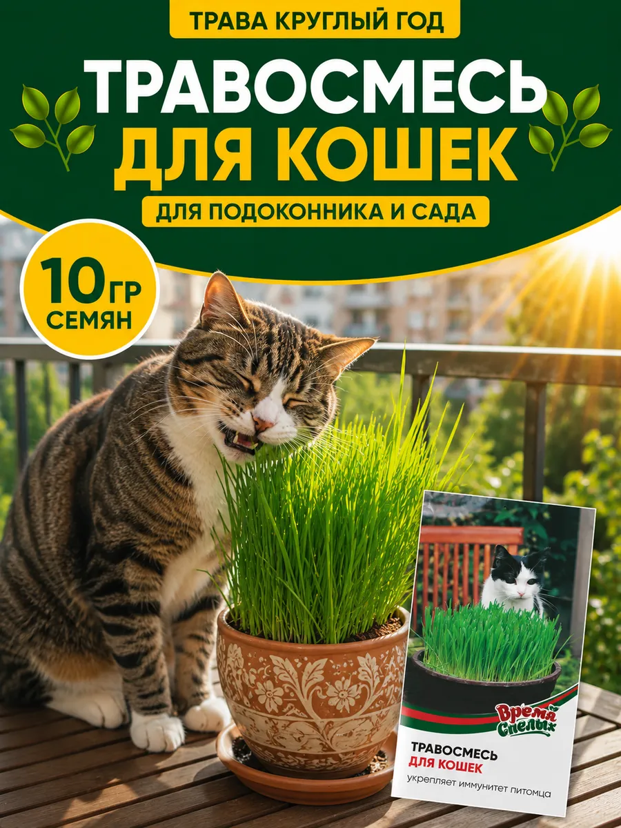 Семена Травы для Кошек для проращивания