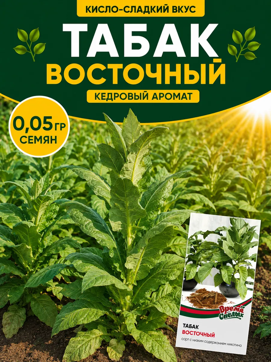 Семена Табака Восточный для курения
