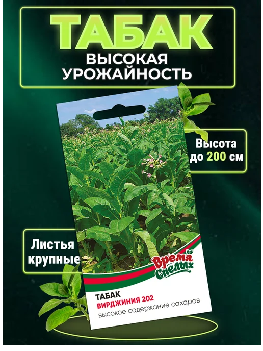 significance of tobacco Bella
