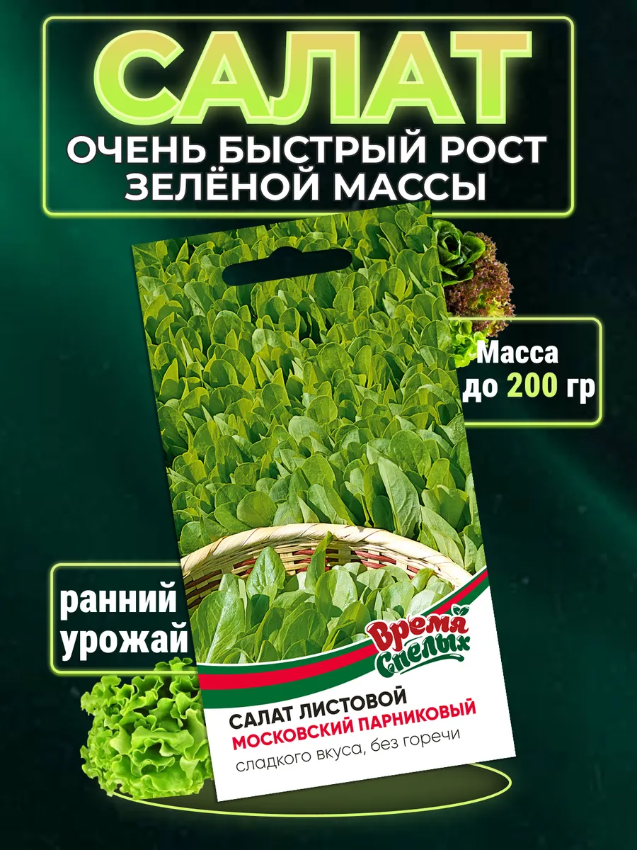 Семена Салата Московский парниковый