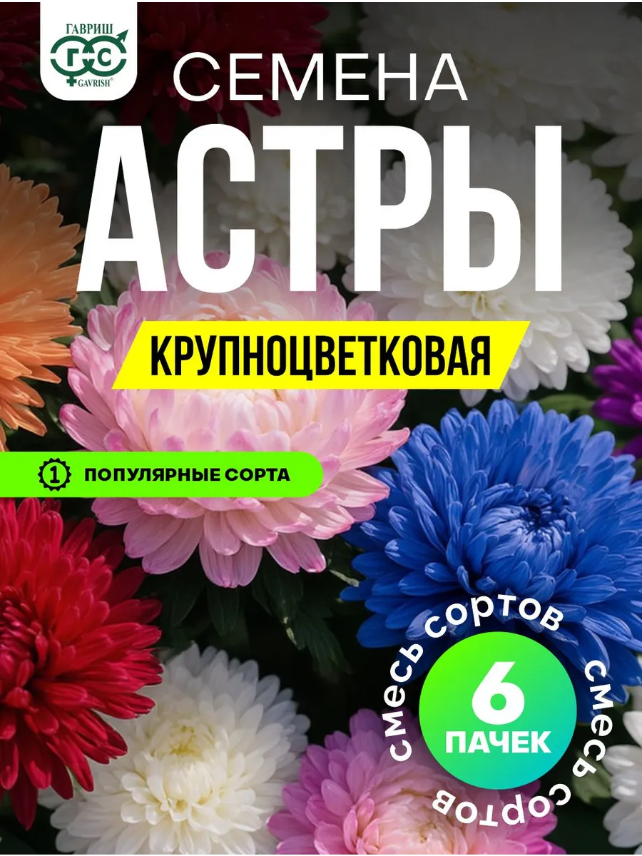 Астра семена крупноцветковая кустовая