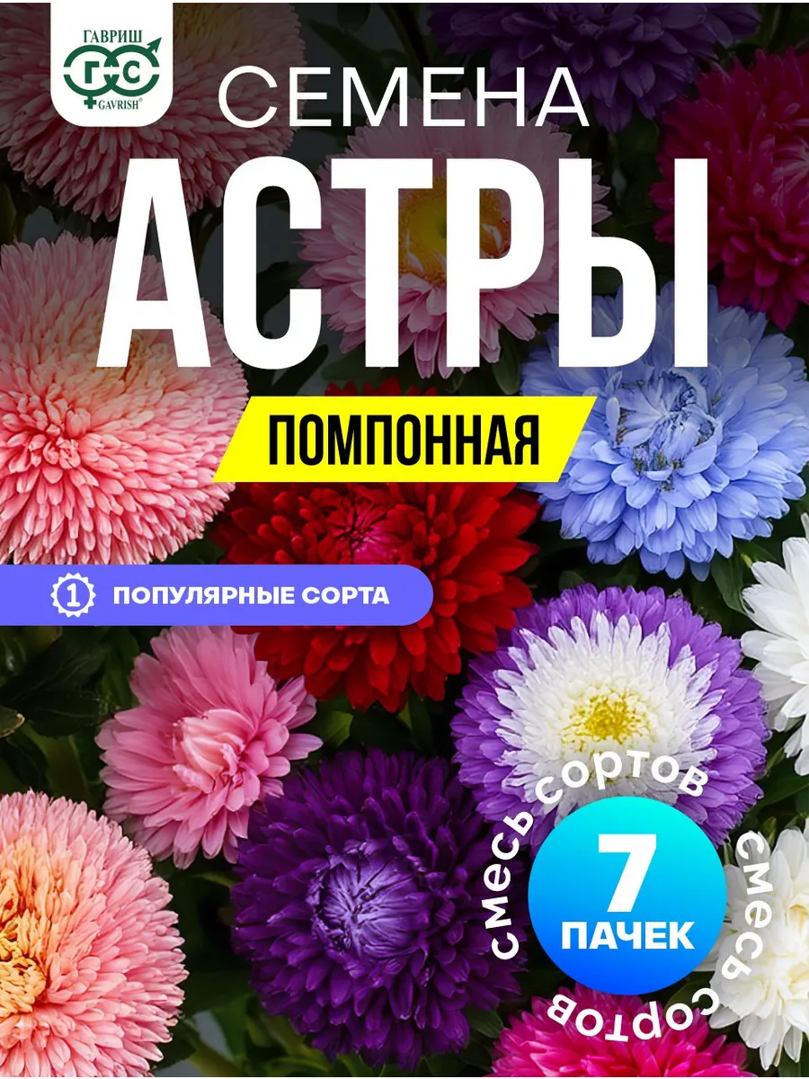 Астра семена помпонная кустовая