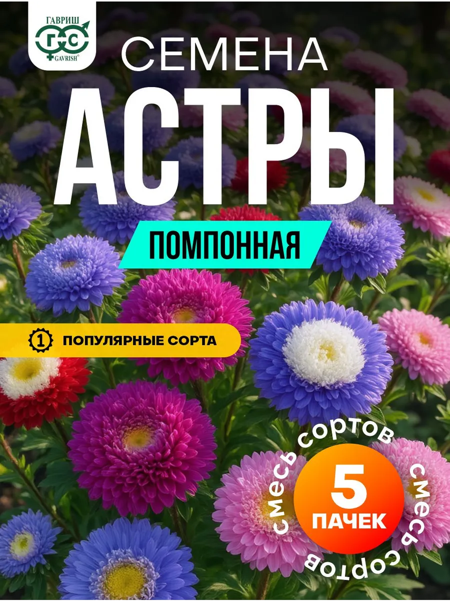 Астра семена помпонная крупная кустовая