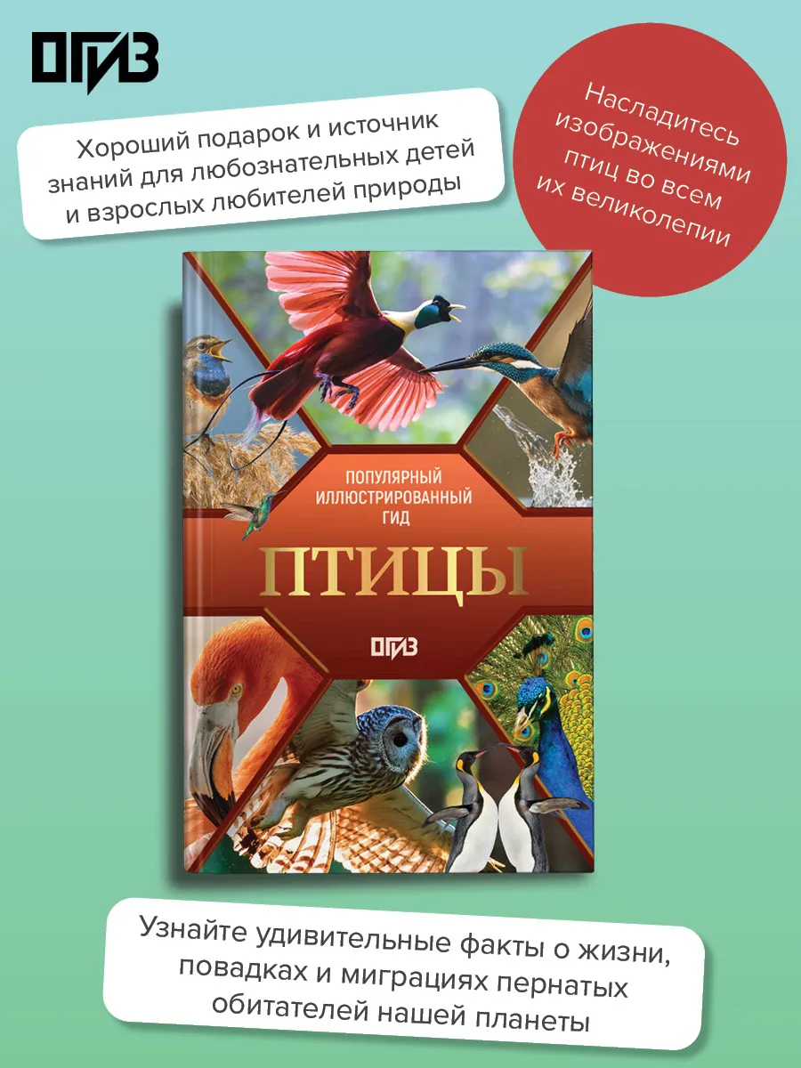Птицы. Иллюстрированный гид