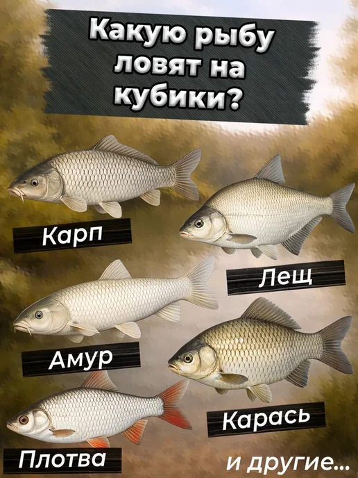 Карпомания Прикормка прессованная Амур + Горох (12куб.), вариант, фото 5