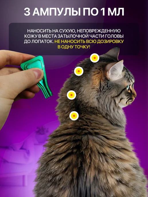 Evoxinex Набор от блох и клещей для кошек и собак, голубой, фото 6