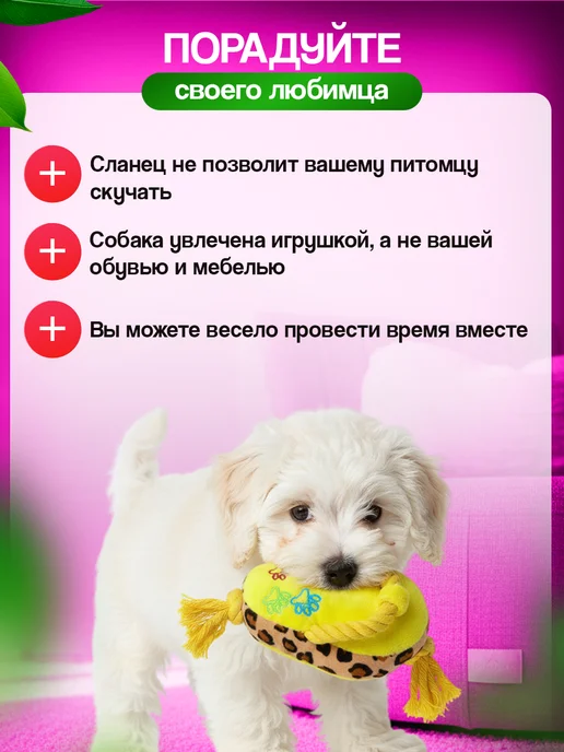 Tooth for tooth Мягкая интерактивная игрушка для собак сланец, желтый, фото 2