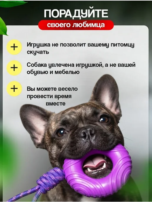 Tooth for tooth Игрушка для собак грейфер с пищалкой, фиолетовый, фото 3